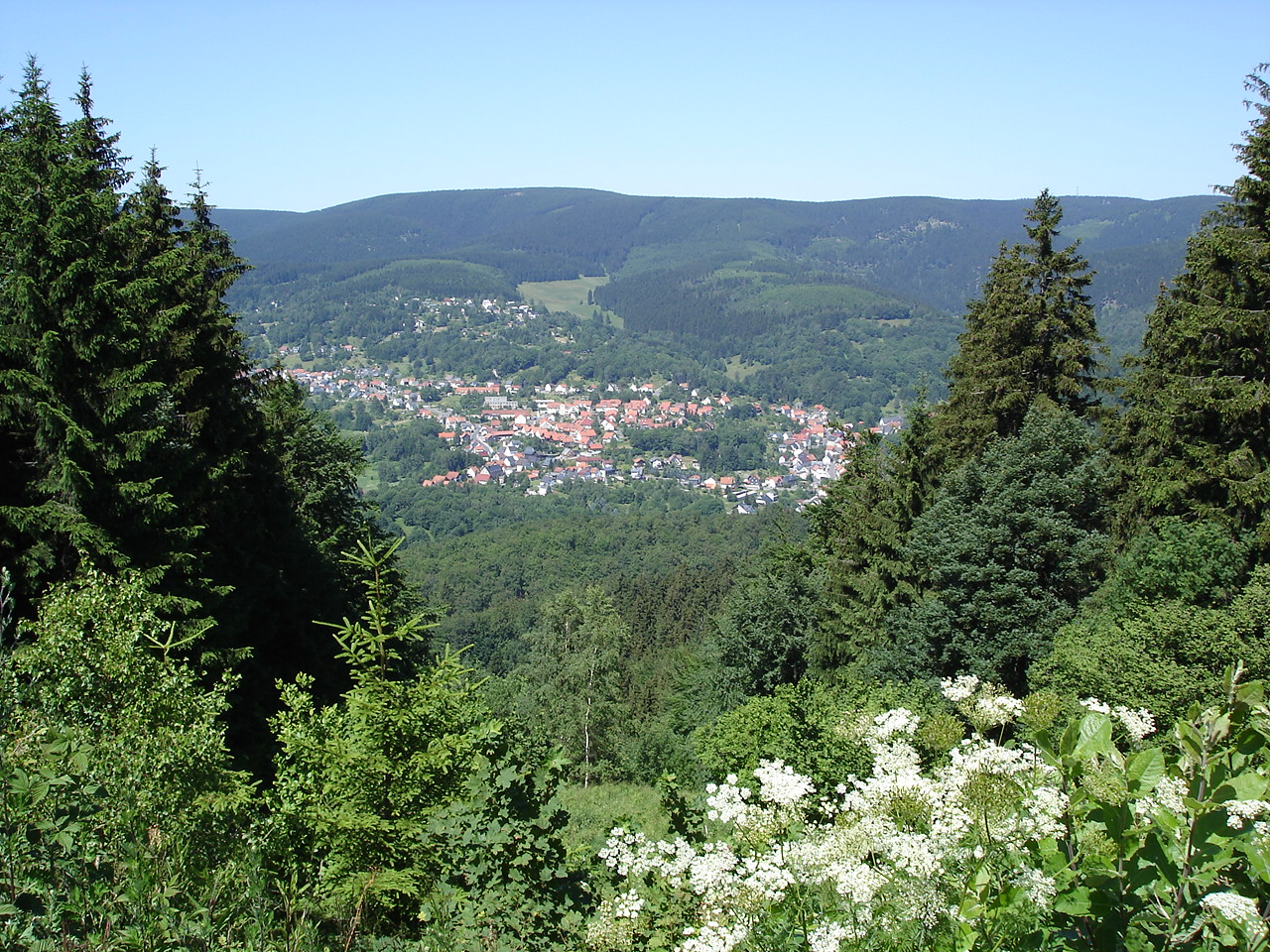 Panorama miasta Suhl z daleka