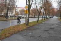 Zdjęcia sprzed budowy ścieżki pieszo-rowerowej na ul. Grunwaldzkiej (photo)