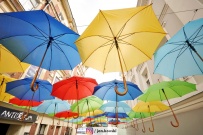 Parasolki nad ulicą Bracką (photo)