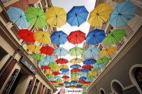 Parasolki nad ulicą Bracką (photo)