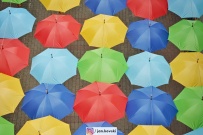 Parasolki nad ulicą Bracką (photo)