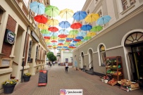 Parasolki nad ulicą Bracką (photo)