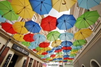 Parasolki nad ulicą Bracką (photo)