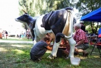 Piknik Leszczyńskie Smaki 2016 (photo)