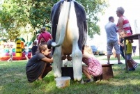 Piknik Leszczyńskie Smaki 2016 (photo)