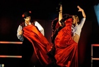 Pokaz tanecnzy (photo)