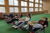Akcja krwiodawstwa została zorganizowana na sali gimnastycznej ZSRB (photo)