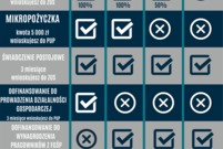 Grafika obrazująca formy pomocy, z jakich mogą korzystać poszczególni przedsiębiorcy  (photo)