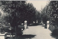 Leszczyński zwierzyniec  (photo)