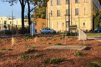 Nasadzenia na skwerze pod leszczyńskim szybowcem (photo)