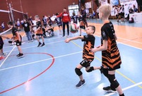 Turniej minisiatkówki rozegrano na hali sportowej na Zatorzu (photo)