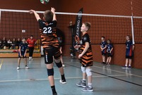 Mecz siatkówki (photo)