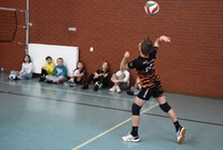 Mecz siatkówki (photo)