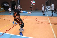 Mecz siatkówki (photo)