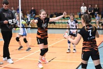 Mecz siatkówki (photo)