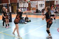 Mecz siatkówki (photo)