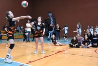 Mecz siatkówki (photo)