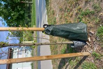 Drzewka z workami do kropelkowego nawadniania  (photo)