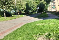 Leszczyńskie planty (photo)
