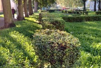 Leszczyńskie planty (photo)