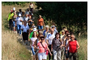 Zdjęcie, Otwarty konkurs ofert - wsparcie realizacji zadań publicznych 2016