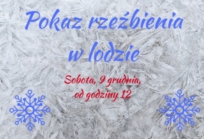 Zdjęcie, Pokaz rzeźby lodowej- 9 grudnia