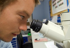 Zdjęcie, Środki na realizację projektów badawczych - konkurs PARP