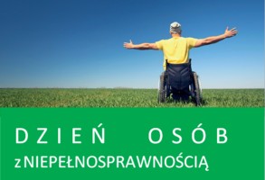 Osoba na wózku inwalidzkim na łące