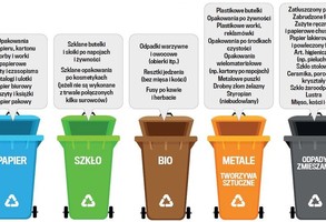 Zdjęcie, Przedsiębiorco, sprawdź czy musisz dokonać wpisu do bazy BDO