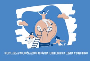 Zdjęcie, Sterylizacja wolnożyjących kotów na terenie miasta Leszna w 2020 roku