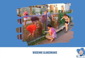 Zdjęcie, Wiosenne glancowanie
