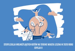 Zdjęcie, Sterylizacja wolnożyjących kotów na terenie miasta Leszna w 2020 roku - edycja II