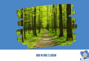 Oko w oko z lasem 