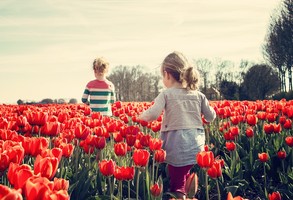 spacerujące w tulipanach dzieci