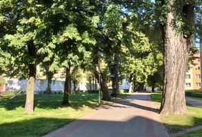 Al. 21 Października